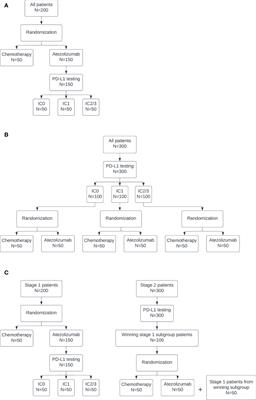 Optimal predictive probability designs for randomized biomarker-guided oncology trials